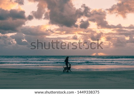 silhouette of a woman on the beach, sunset 
