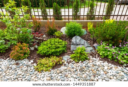 Landscape design of home garden, landscaping with flower beds and rocks. Scenic view of landscaped yard in summer. Scenery of plants, rocks and stones in house backyard. Flowerbeds and rocks theme. Royalty-Free Stock Photo #1449351887