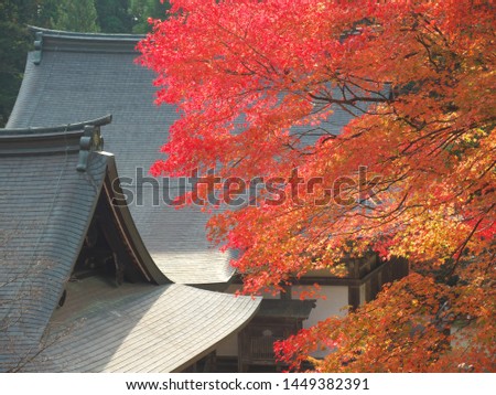 Kyoto Buddhist Temple when the maple leaves turn red