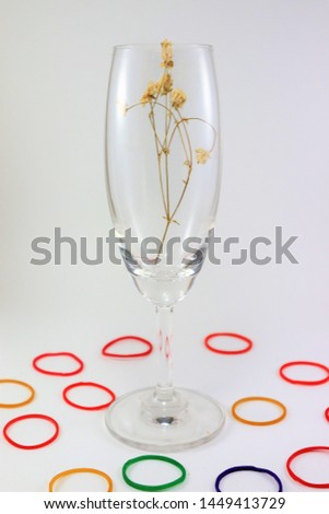 Multi colored circular rubber band and  Flowers in a wine glass White background