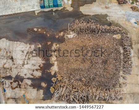 Woodchip pile in port,Paper Mill,Thailand,Manufacturing for Eucalyptus Tree