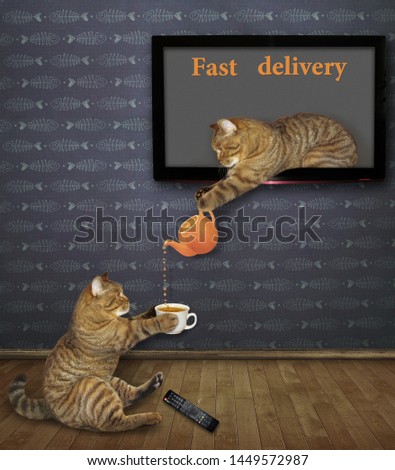The cat is  leaning out of the TV screen and pouring a cup of fruit tea to another cat in the living room. Fast delivery.