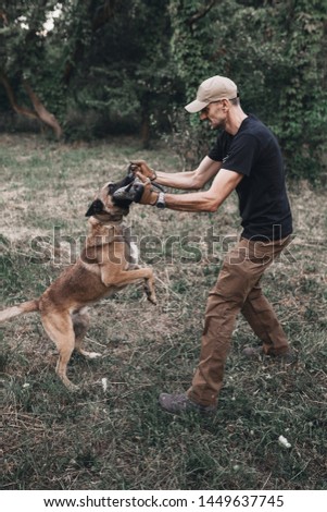 Belgian Malinois Dog Training. A jumping dog bites a man. Host protection attack on criminal. Police dog