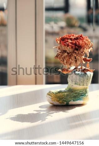 Simple decoration living space indoor at home with red dry daisy flower in colorful handmade pot with shoe shape, view near window so long oblique shadow on white background at early morning