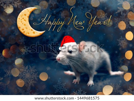 Cute rat in a red Santa Claus hat. Year of the rat. Greeting card with New Year 2020! Rat and cheese