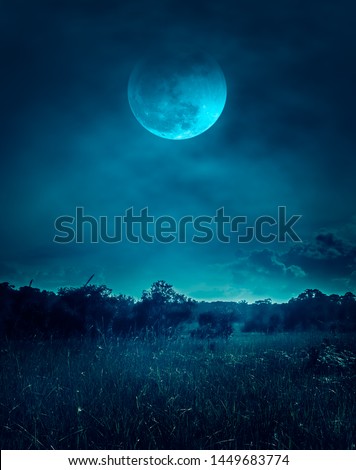 Landscape of dark night sky with clouds. Beautiful bright full moon above wilderness area in forest, serenity nature background. Outdoors at nighttime. The moon were NOT furnished by NASA.