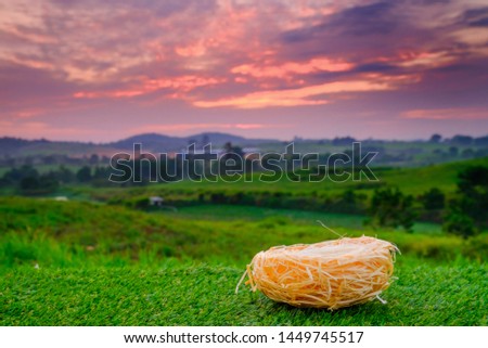 Bird nest  on the grass with beautiful sunrise as background
