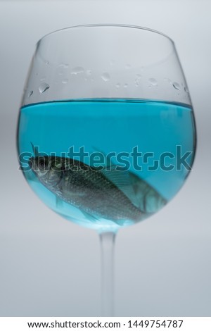 Two crucians fish in the wine glass of blue water