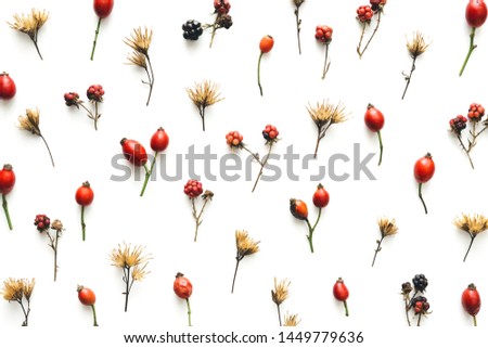 Autumn pattern with red berries and dry plants on white background. Flat lay.