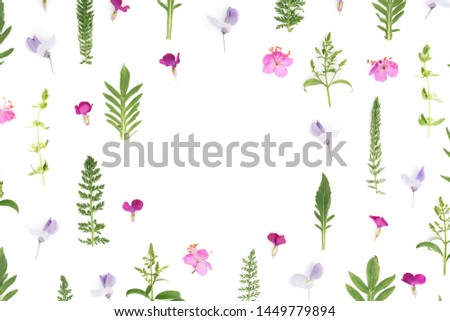 Composition made of meadow flowers and leaves on white background. Flat lay. View from above. Copy space.