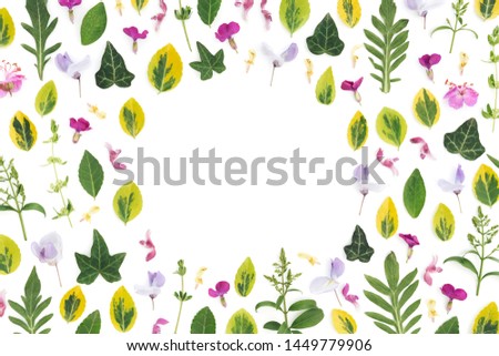 Spring background with meadow flowers and leaves. Flat lay. View from above. Copy space.