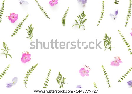 Composition made of meadow flowers and ferns on white background. Flat lay. View from above. Copy space.