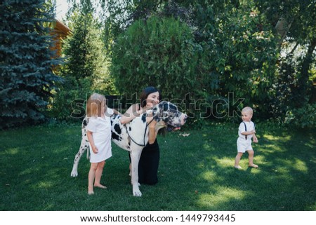Family of brother and sister in white clothes play with a mom and a dog near them in the park or garden