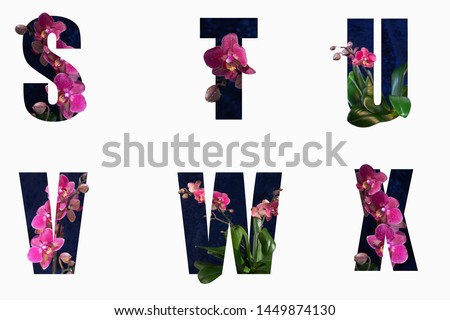 Flower font Alphabet s, t, u,v,w,x made of Real alive flowers with Precious paper cut shape of letter. Collection of brilliant flora font for your unique decoration in spring, concept idea Royalty-Free Stock Photo #1449874130