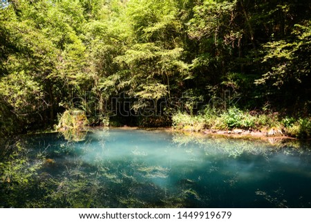 River deep in mountain forest. Nature composition. Turquoise water spring in blue cave.  Blue water lake and sun light rays shining through green leaves of tropical plants and trees. Reflection.