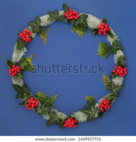 Winter and Christmas wreath with holly, snow covered spruce fir, ivy and cedar on blue background with copy space. Traditional symbol for the festive season.