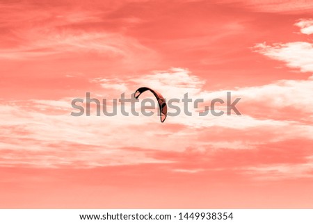 Kite in the sky, monochromatic image, Coral color, concept of freedom.