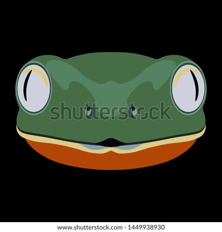 Isolated vector illustration. Stylized face of a frog. Flat cartoon style. Funny animal character.