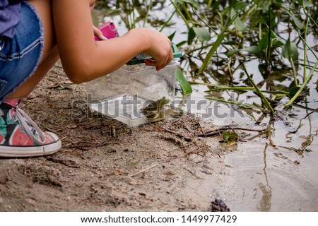 A girl capturing a toad in her plastic box near the water