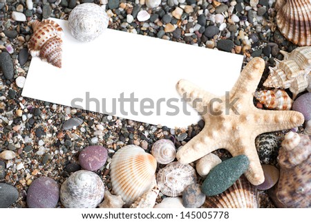 Blank paper on the beach sand with seashells