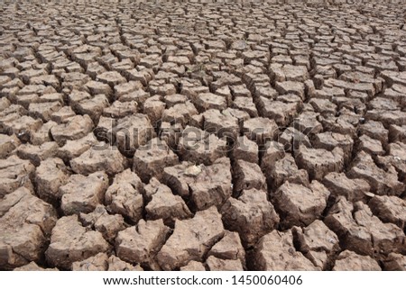 Part of the ground under a large arid river is affected by drought.