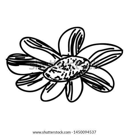 Isolated sketch of a flower on a white background - Vector