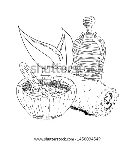 Sketch of spa objects. Mortar with a pestle, towel, body cream bottle and leaves - Vector