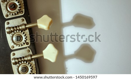   bass guitar headstock with tuning pegs . color background                             