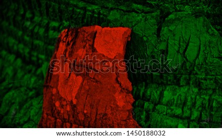 Bangladeshi flags textures painted on a part of tree unique photo