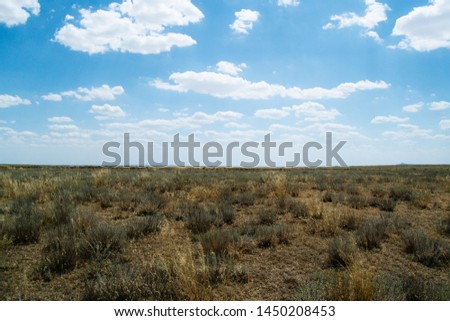 Steppe landscape. Lonely green plants on dry, hot sand.The steppe is woodless. Ravine in the steppe.