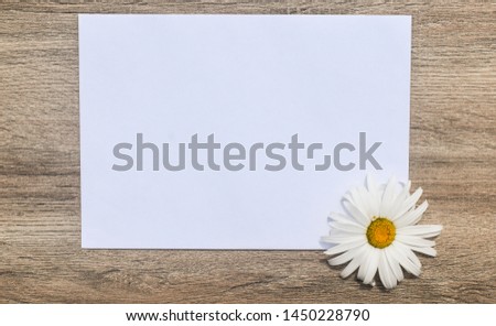 White paper with daisy flower on wooden background. Digital mock-up stock photo in aesthetic minimal style with free empty copy space for text or artwork design