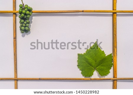 Vine and green grapes with branches on white background. Digital mock-up stock photo in aesthetic minimal style with free empty copy space for text or artwork design