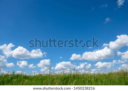 Blue sky clouds green grass. 
Green field and blue sky.