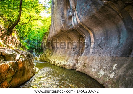 Amazing gorge on the little wild river in Carpathian Mountains