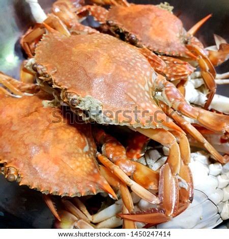 horse crab,selective focus close up horse crab background.
