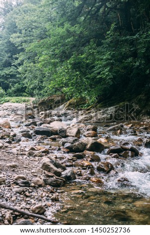 Blue mountain river in  Popular tourist route in Yew-Boxwood Grove in Caucasian biosphere reserve, Khosta district of Sochi, Russia