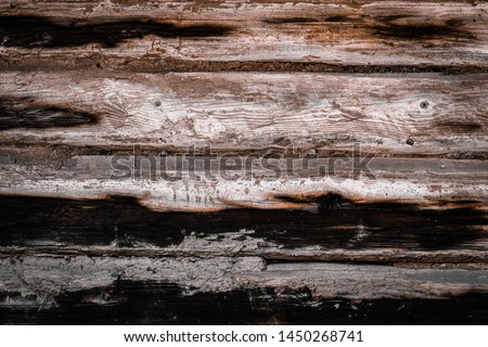 Texture background of old burnt tree. An old tree with traces of fire with copy space.