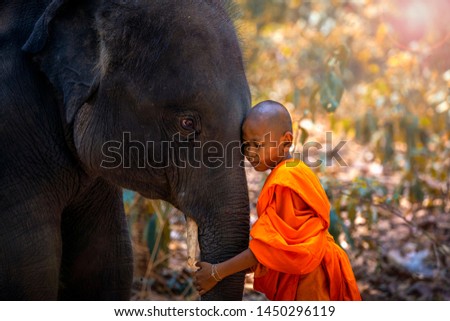 Novices or monks hug elephants. Novice Thai standing and big elephant with forest background. , Tha Tum District, Surin, Thailand. Royalty-Free Stock Photo #1450296119