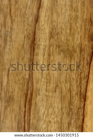Closeup real natural wood grain of veneer background and texture, Pattern for decoration. Blank for design. Use for select material idea decorative furniture surface. Exotic veneer material.