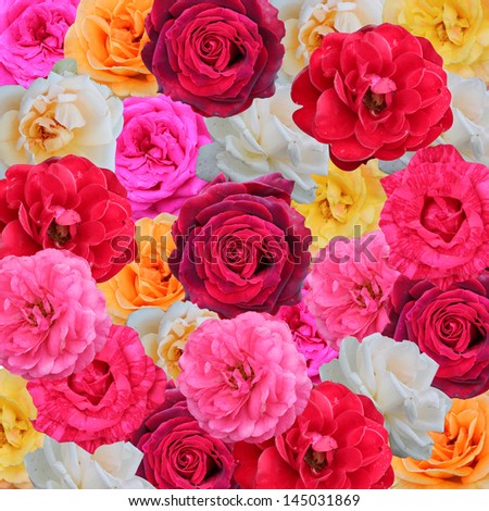 floral background with red, pink, white,yellow and orange roses Royalty-Free Stock Photo #145031869
