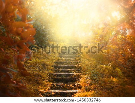 Autumn backdrop stairs sky. amazing mysterious road steps leads mystical world, fairytale path hides among yellow orange trees, magical October foggy art fantasy nature foliage garden bright abstract  Royalty-Free Stock Photo #1450332746