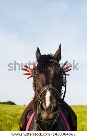 Competitor and his horse jumping at an equestrian contest - funny picture of face of horse covering face of woman