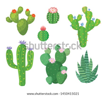 Cartoon cactus set. Vector set of bright cacti and aloe. Colored, bright cacti flowers isolated on white  background. Royalty-Free Stock Photo #1450415021