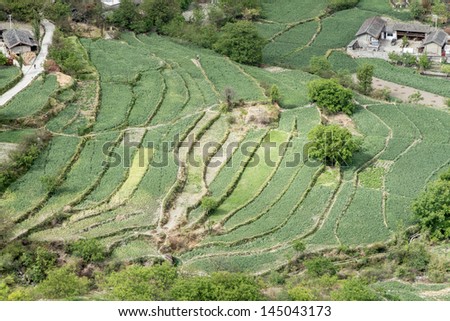 farm on ladderearth from china