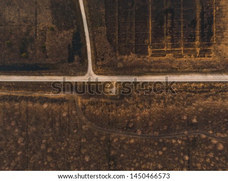 a topview of a path in the forrest
