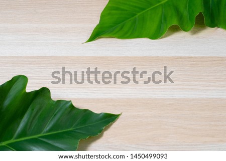 Tropical Leaves On Cream Color Table At Angle. Flat Lay Design For Copy Space.