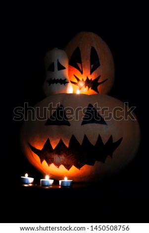 Autumn Halloween Pumpkin family Isolated on Black Background.
