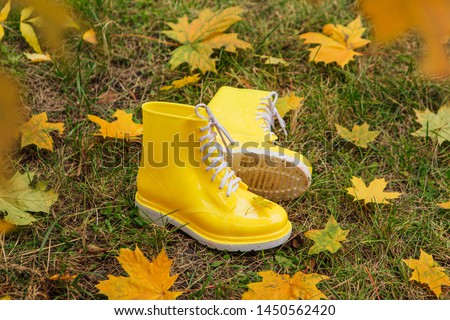 Yellow rubber boots and yellow maple leaves on a wet grass. Autumn season concept. Maple leaf on the rubber shoe.