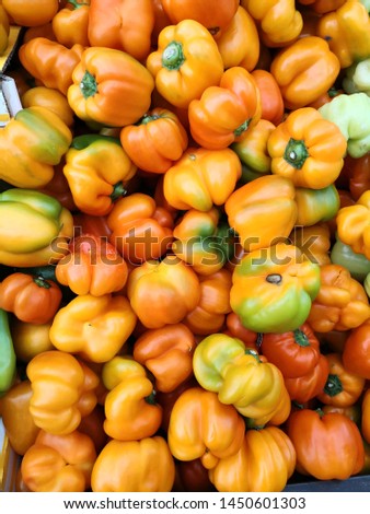 Multicolored bell peppers above view