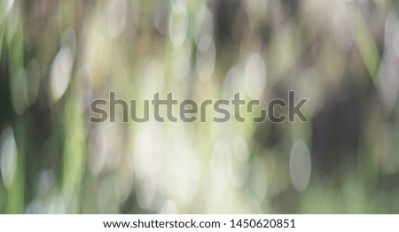 Festive elegant abstract background with bokeh lights and stars Texture                             